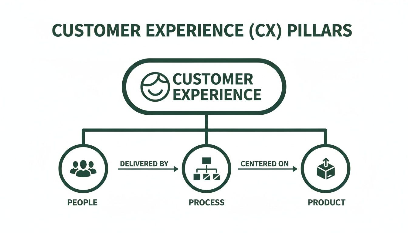 Diagram illustrating the three core pillars of Customer Experience (CX): People, Process, and Product, interconnected.