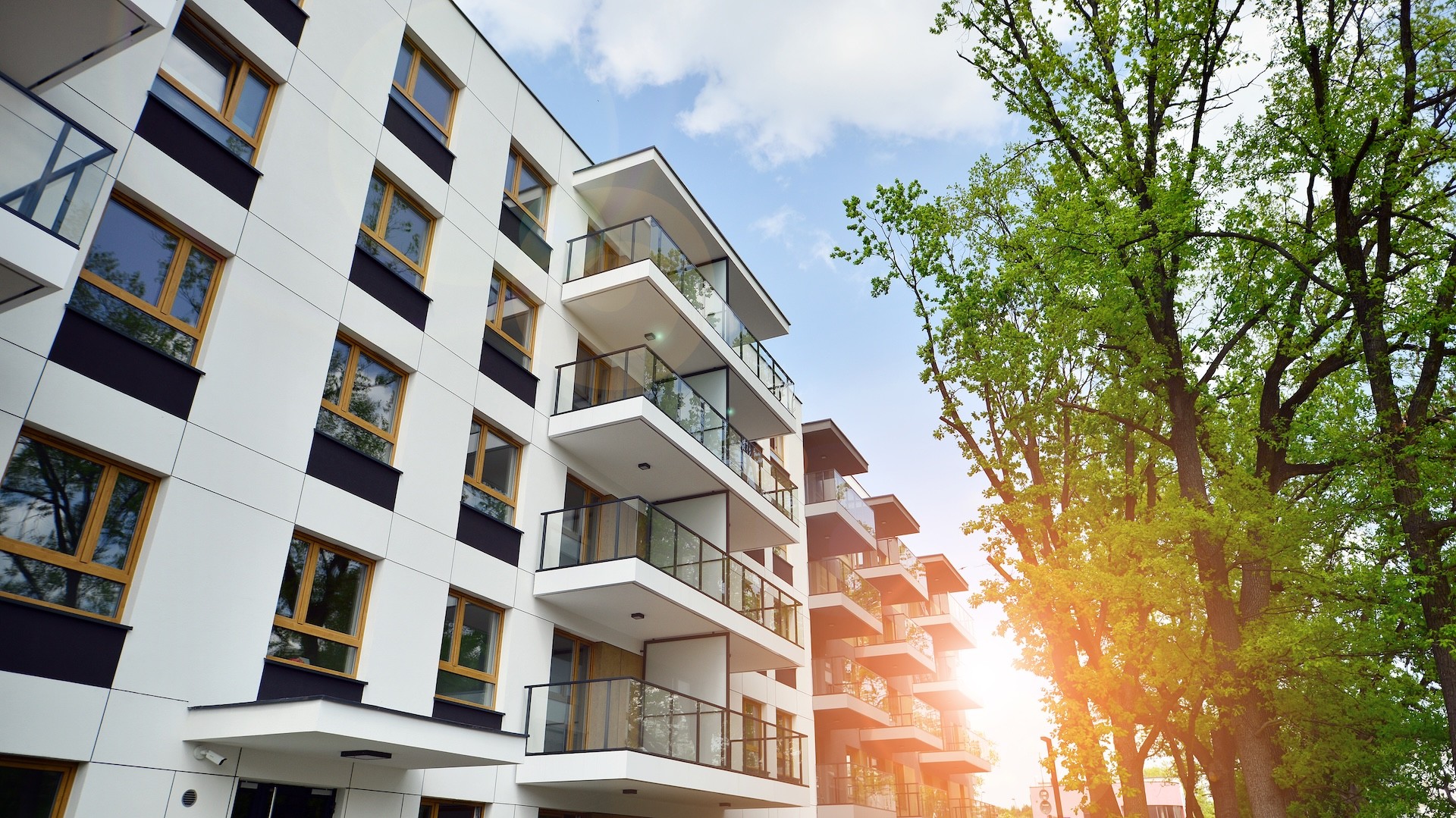 Living room of a very modern house with plants and brown furniture