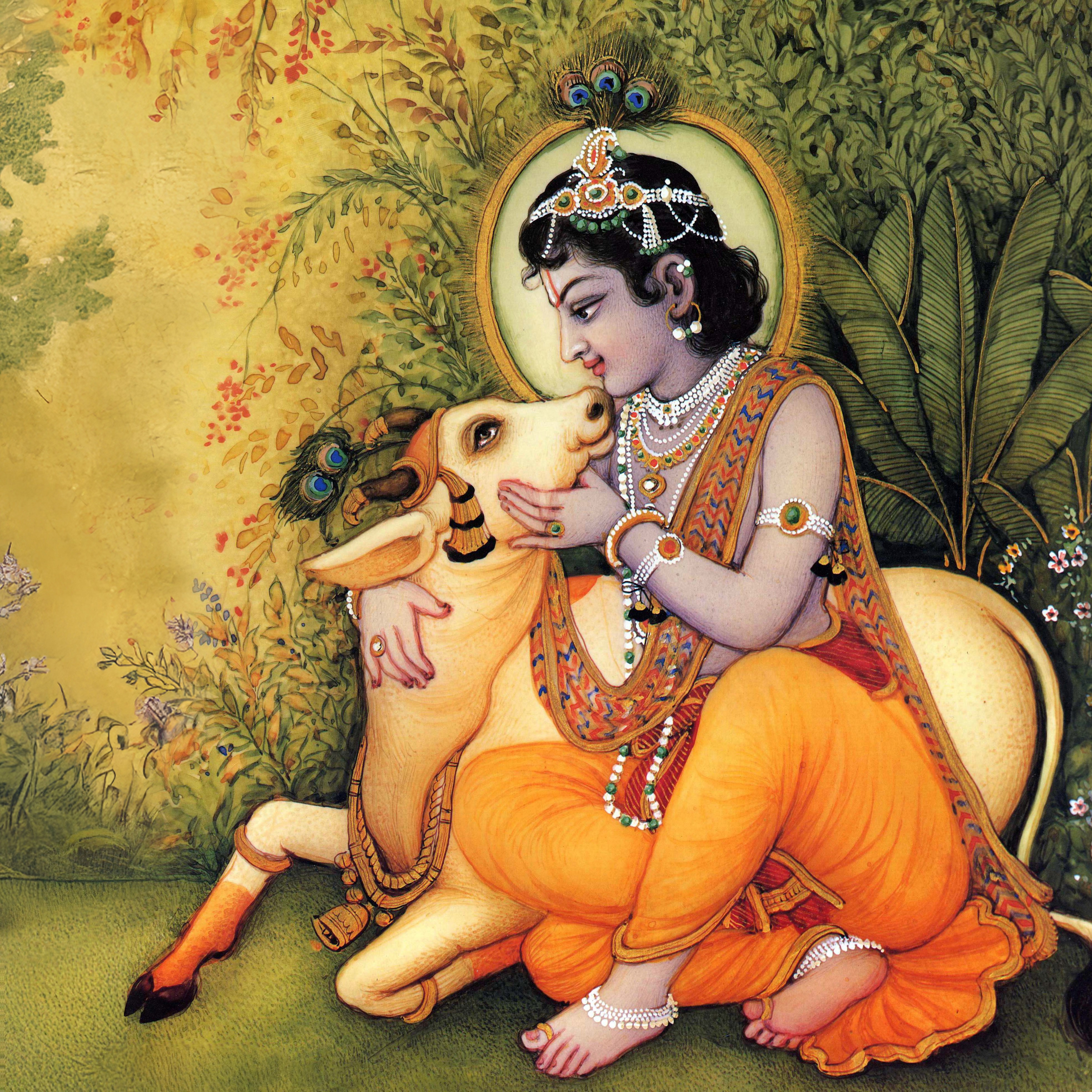 qas-about-krishna