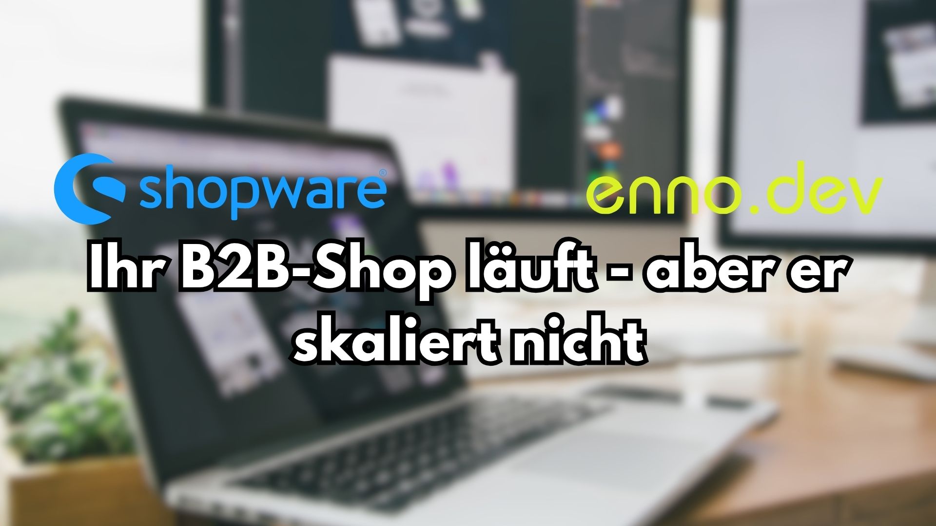 B2B-Shops