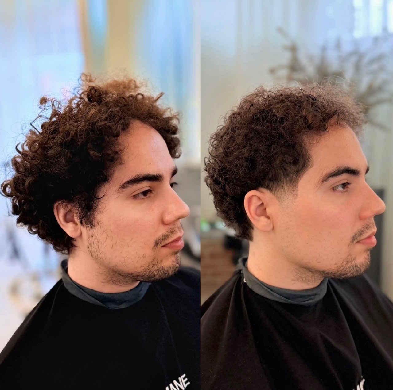 Curly Hair. Receeding hairline. Low taper fade. Beverly Hills Luxury Barber. Bomane Salon.  Hairstylist