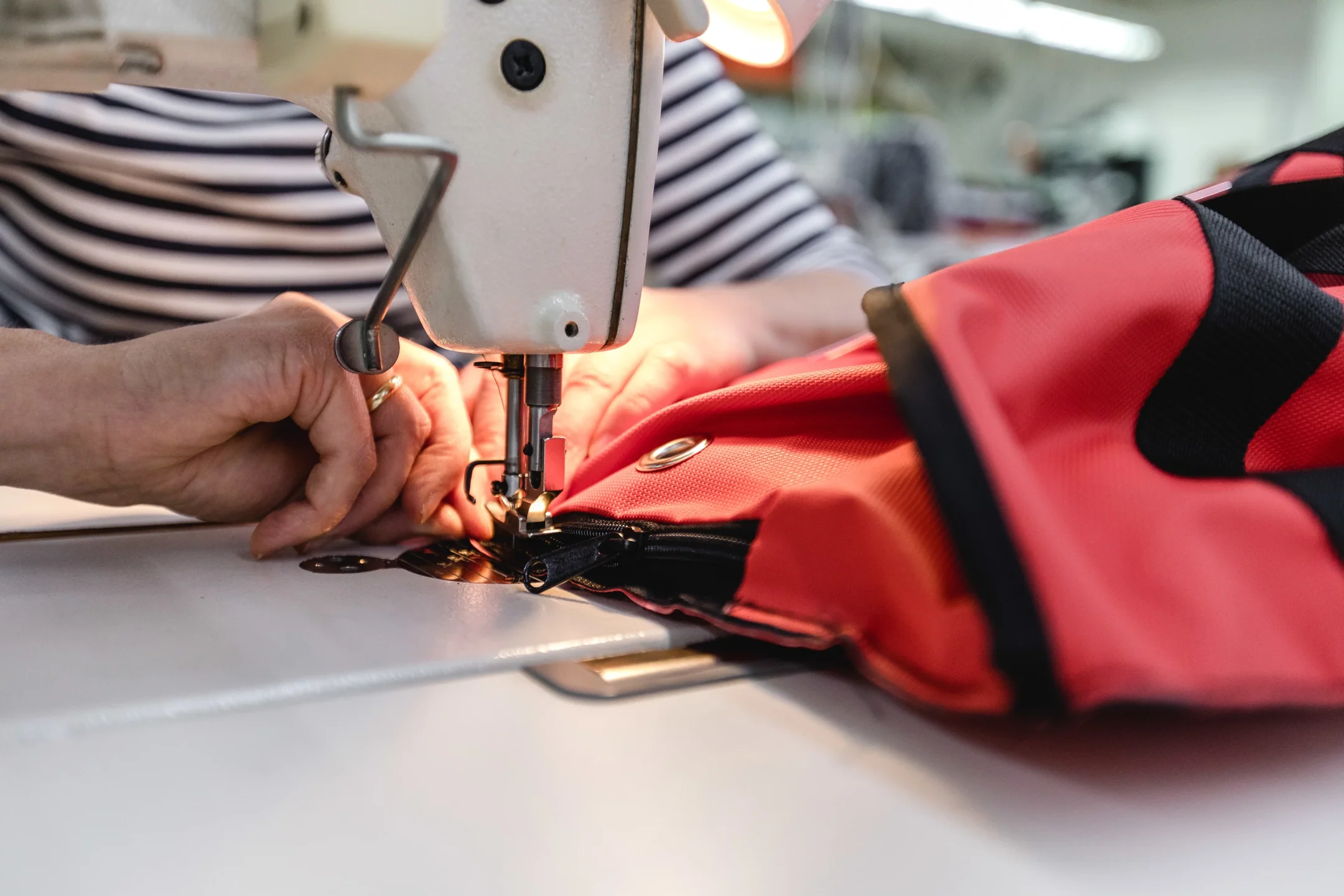 orange fruit vector art