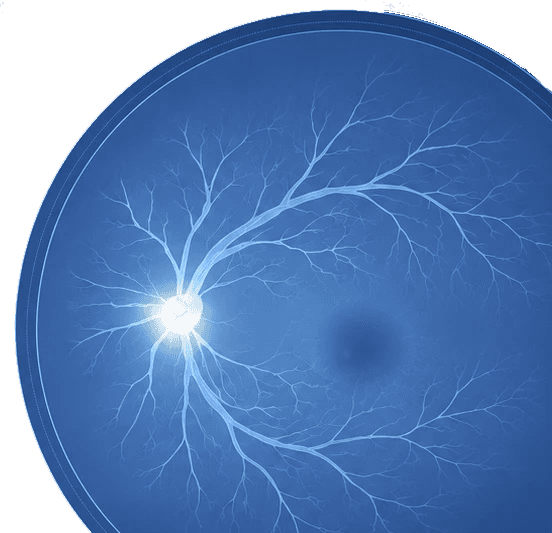 retina