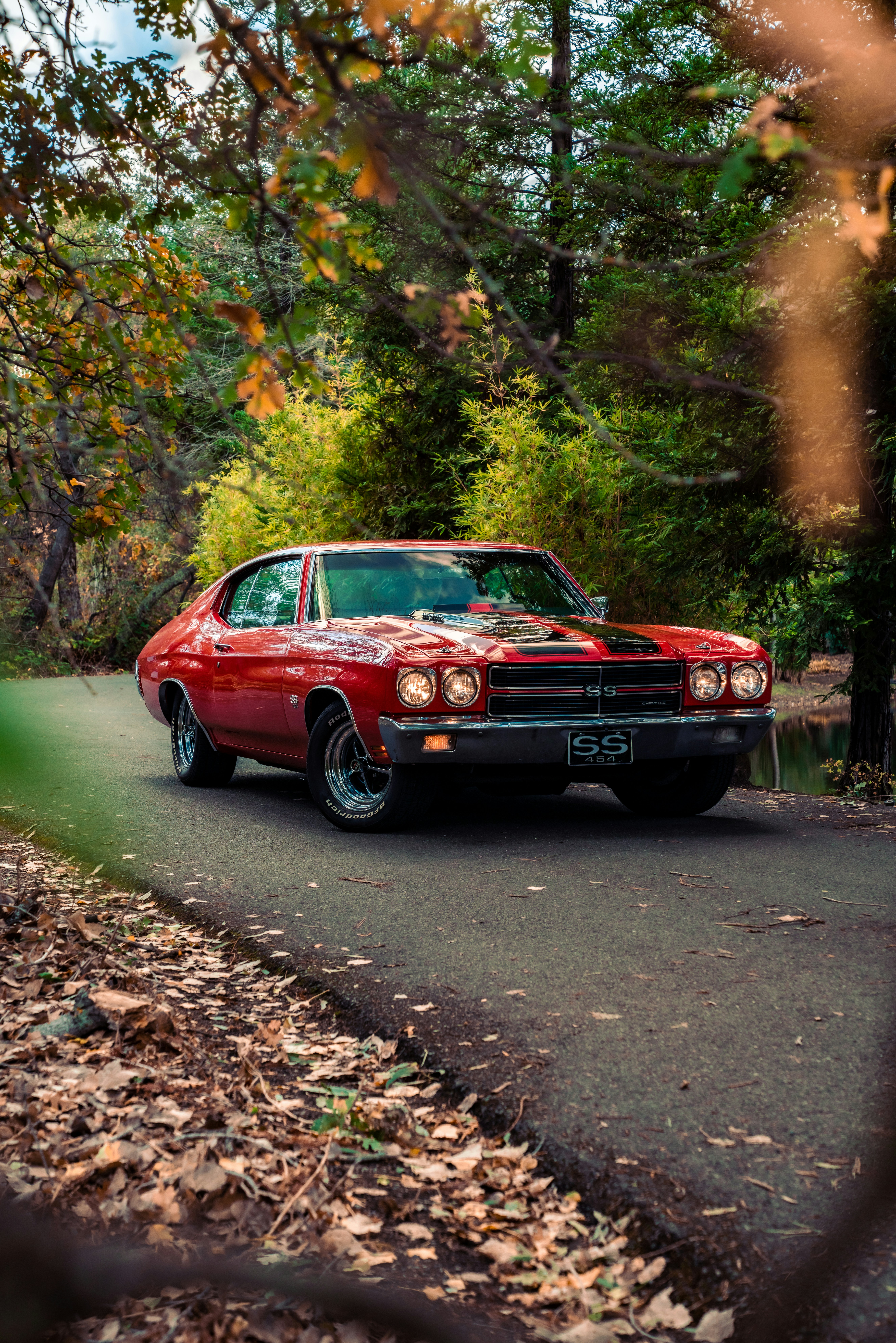 red and black chevrolet camaro on forest during daytime