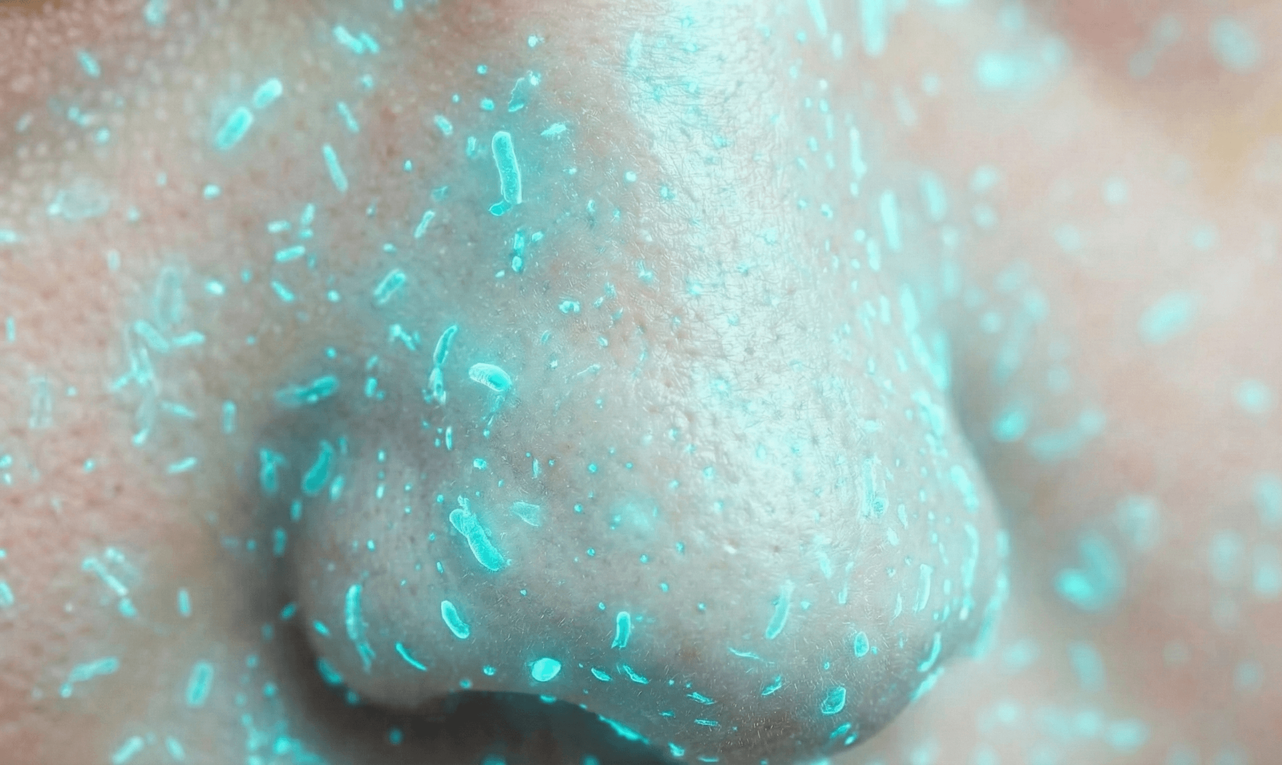 Concetrated triathlete grayscale