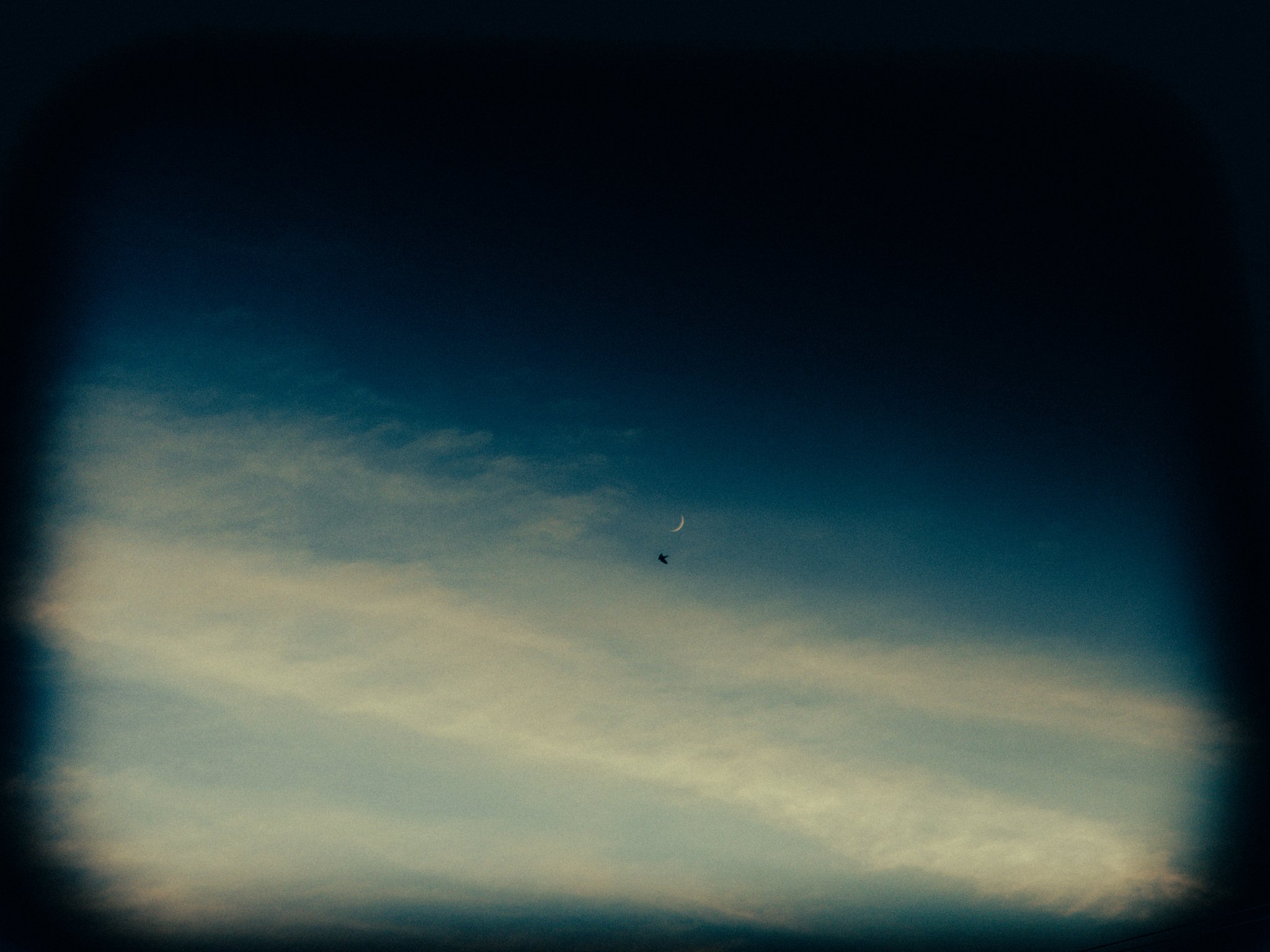 About Page Hero Section Image