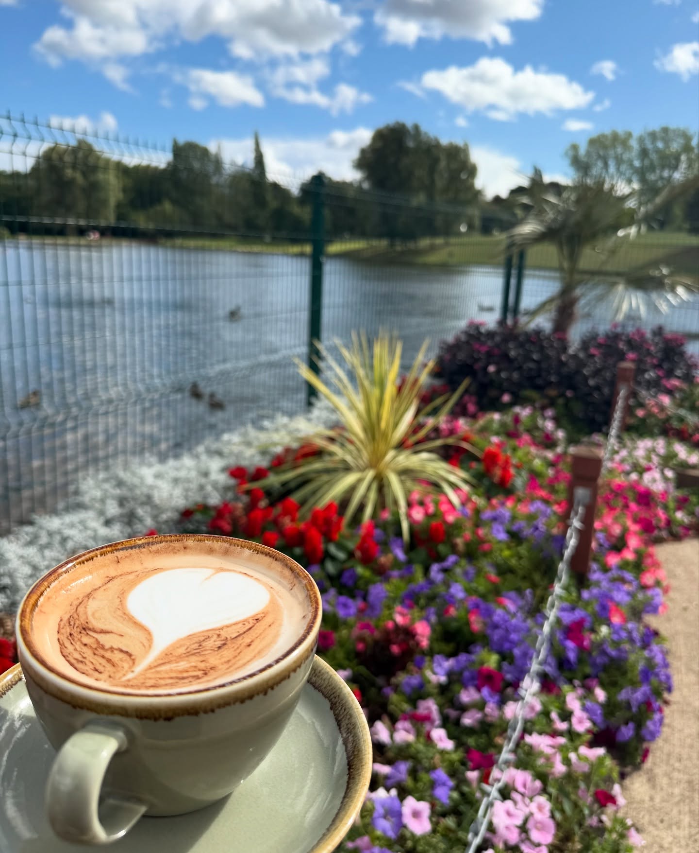 View across lake from terrace with a cup of coffee and flowers in foreground