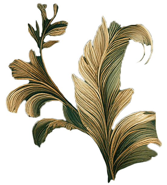 botanic composition in sage and brown colours