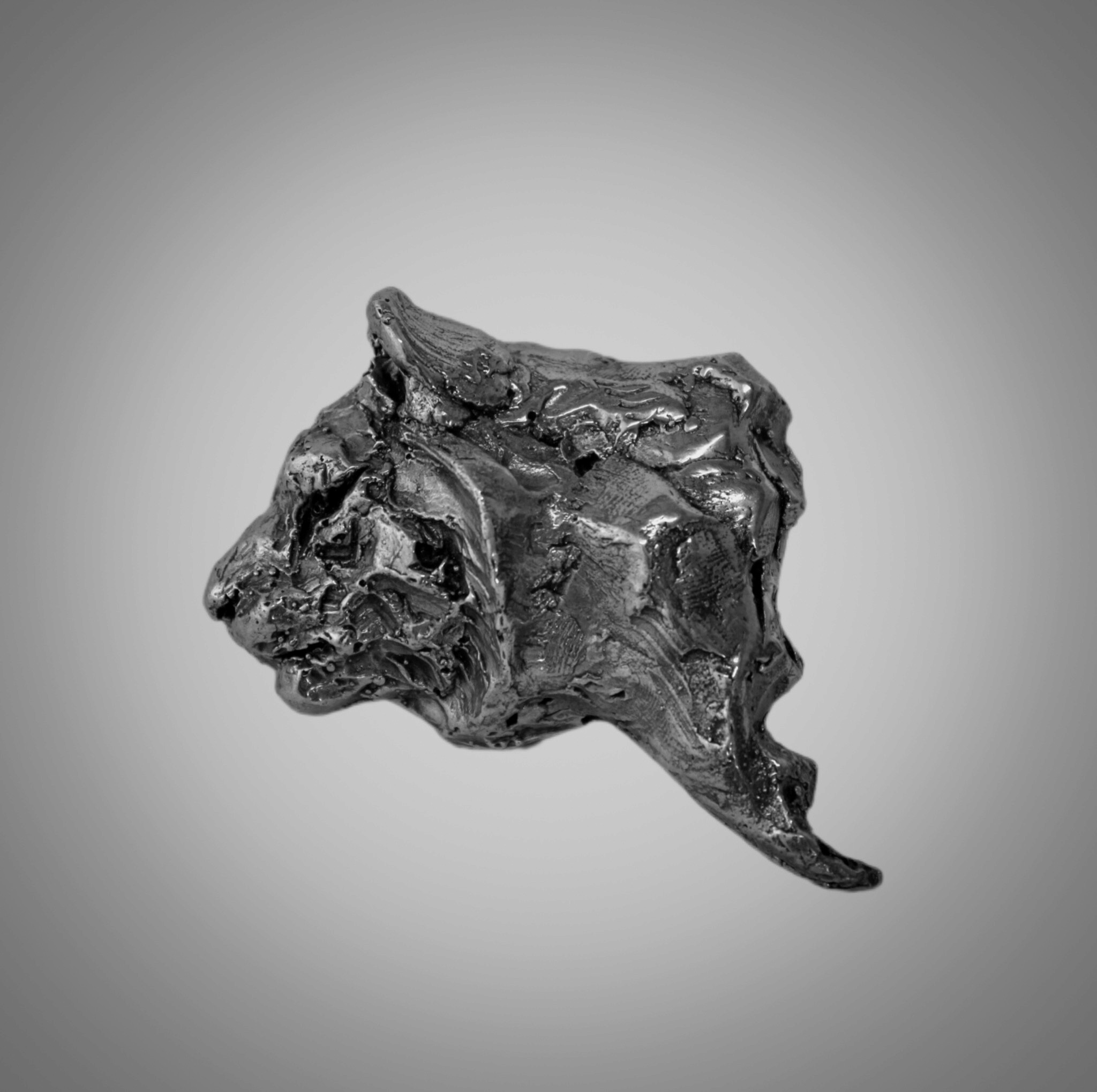 Handcrafted impressionistic Bronze Tigress Brooch wearable sculpture from wearables collection by sculptor Priyam Tiwari