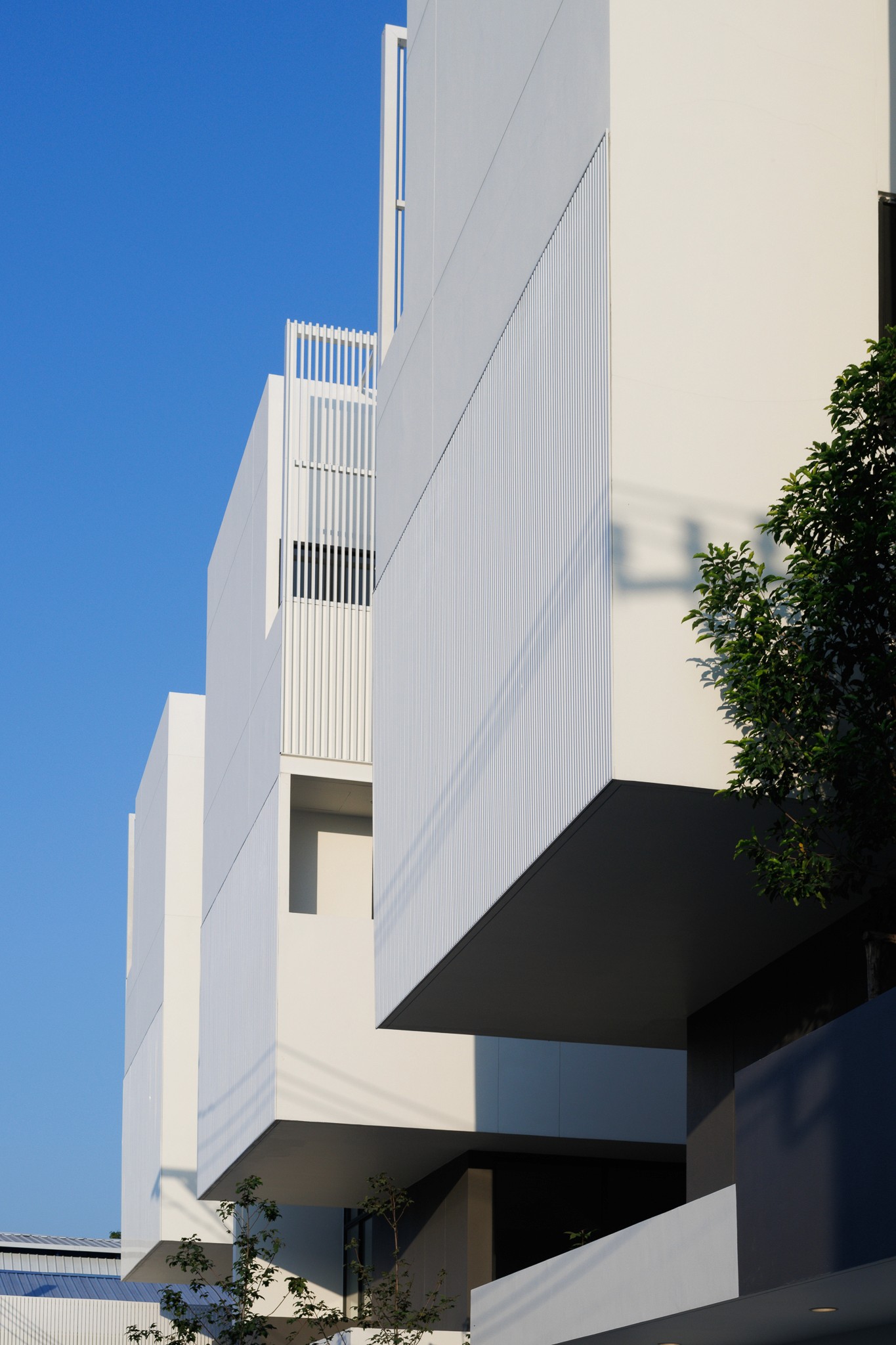 project gallery image