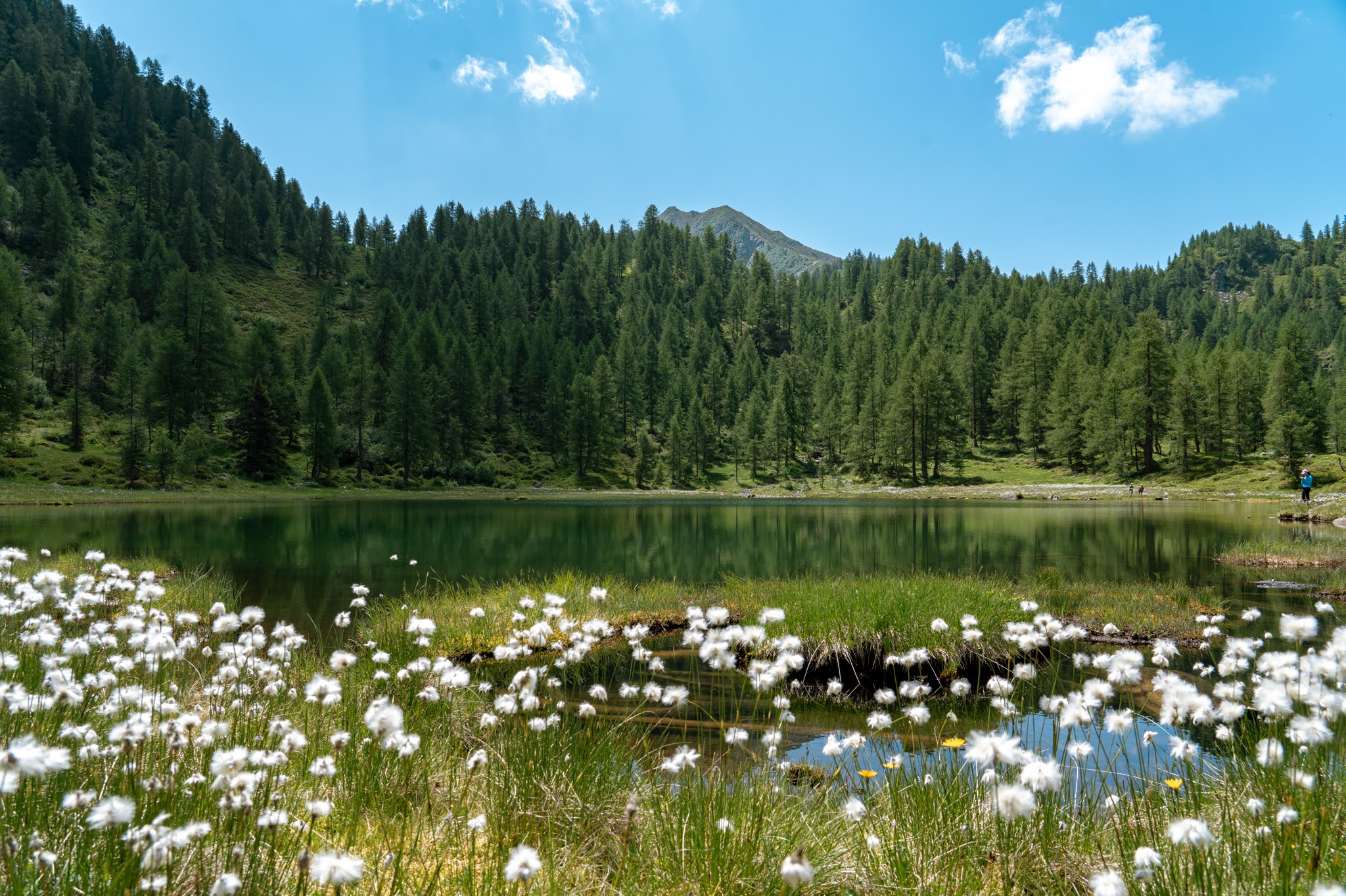 fly fishing in the dolomites