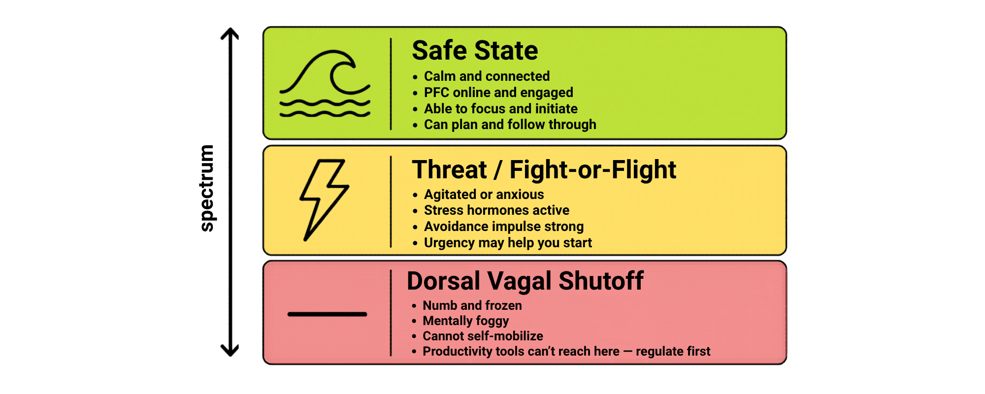 The Three Nervous System States