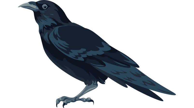 Crow