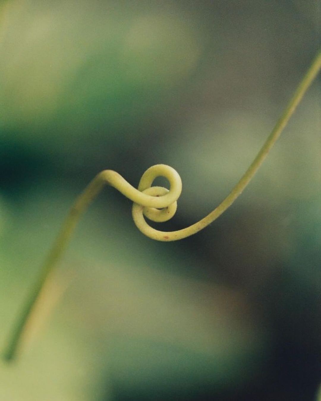 Chart or graph showing pricing information, representing transparent pricing with no hidden fees.