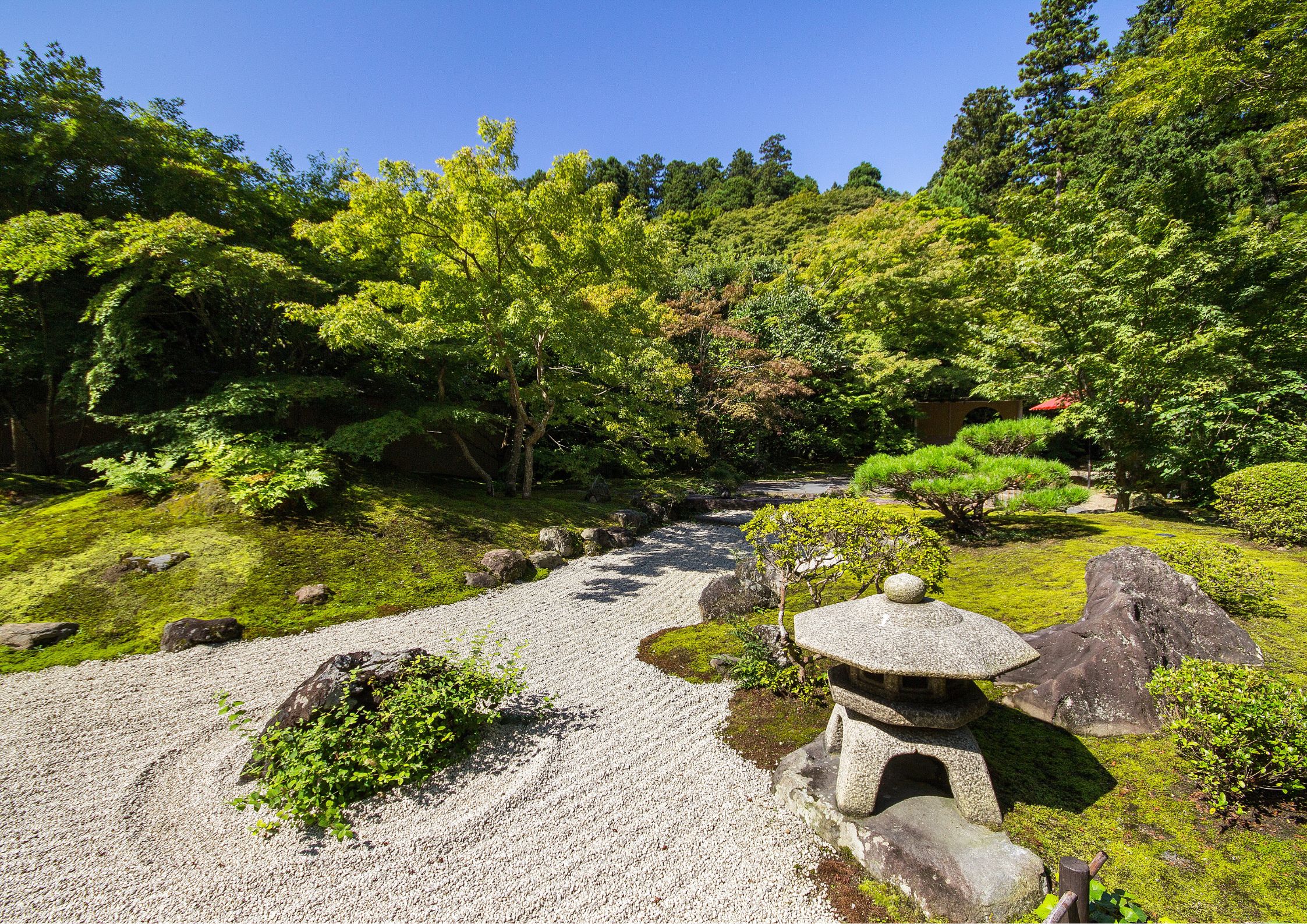 Jardín zen japonés con piedras arena rastrillada y plantas