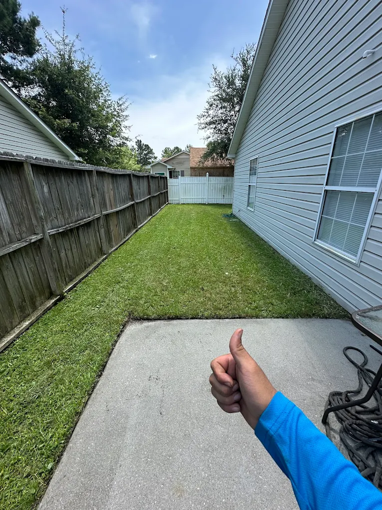 Beautiful landscaped garden with greenery and outdoor design elements.