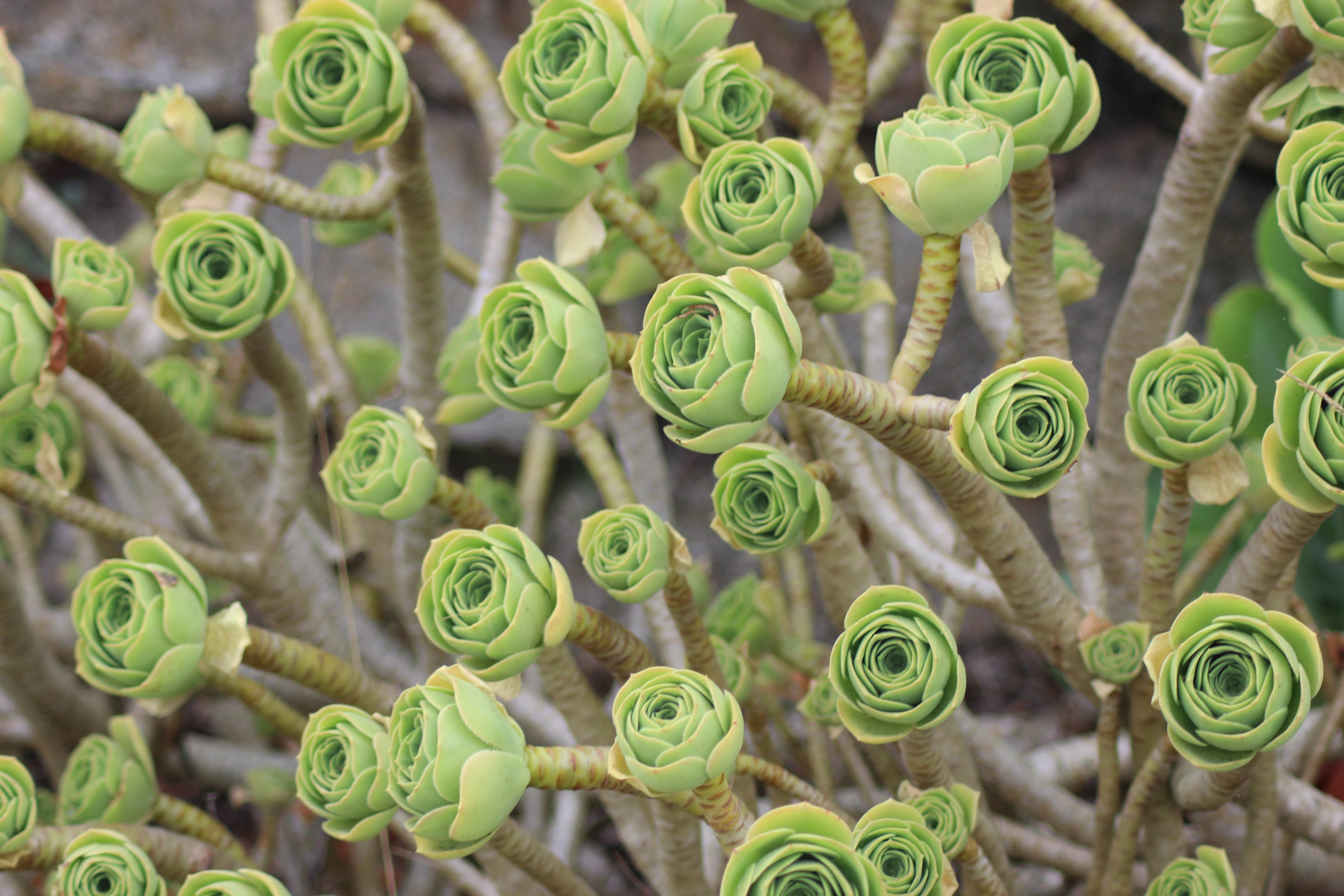 blue sky and white clouds over the sea
