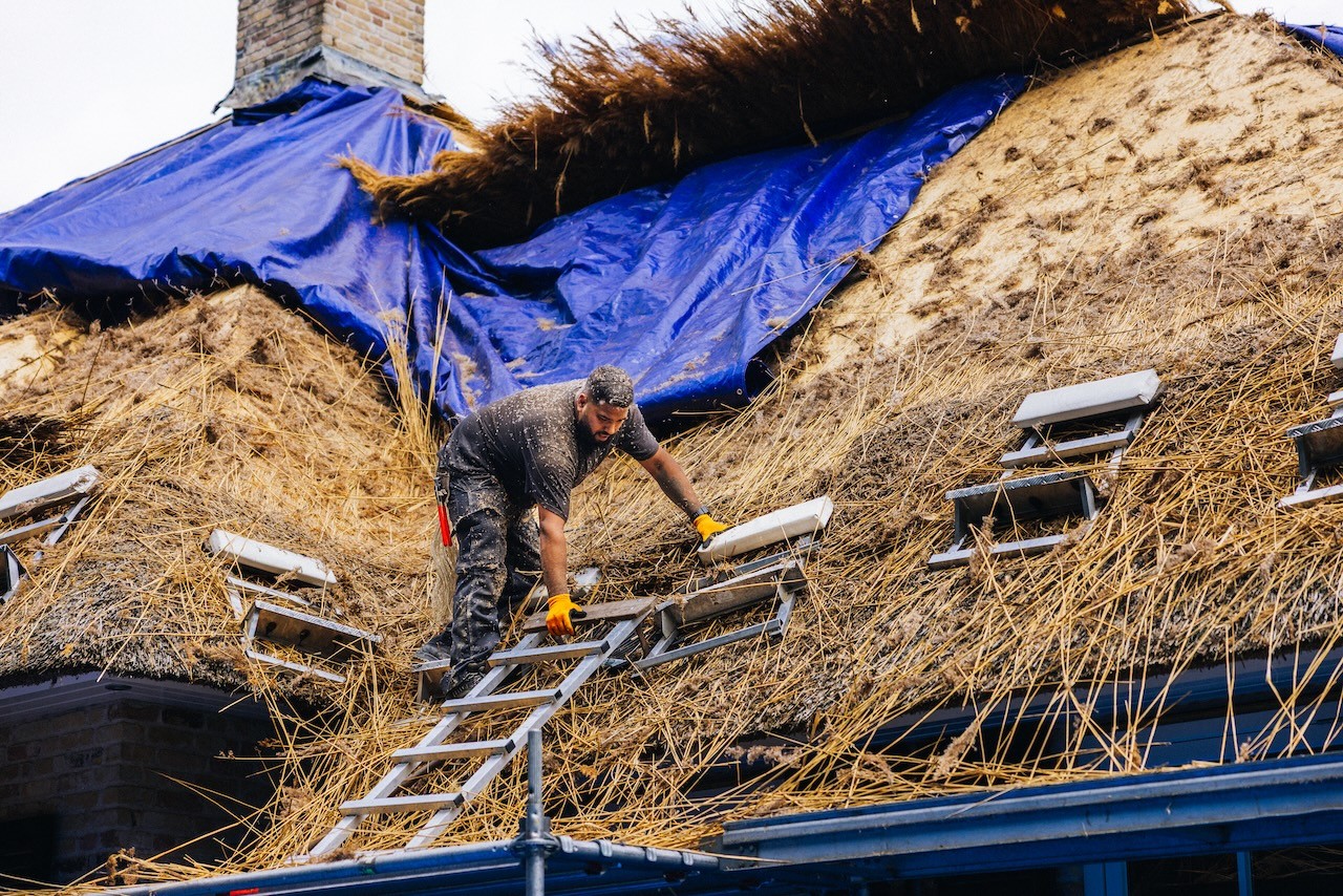 Dakrenovatie door rietdekker van Rietdekkersbedrijf van Dijk Putten