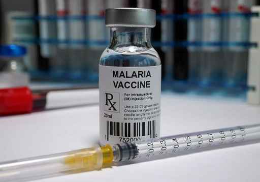 antimalarial vaccine, malaria parasite genome, global health