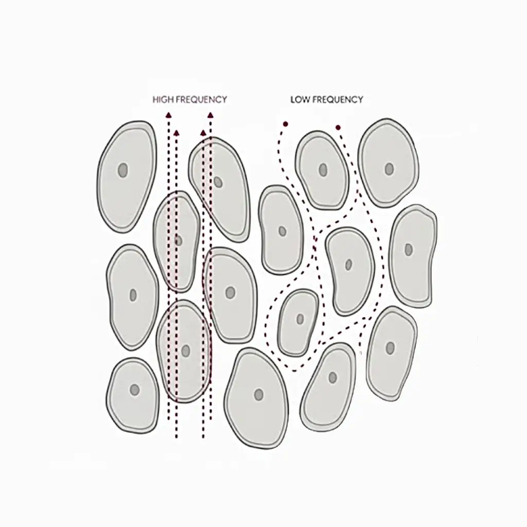 Low Frequency vs High Frequency