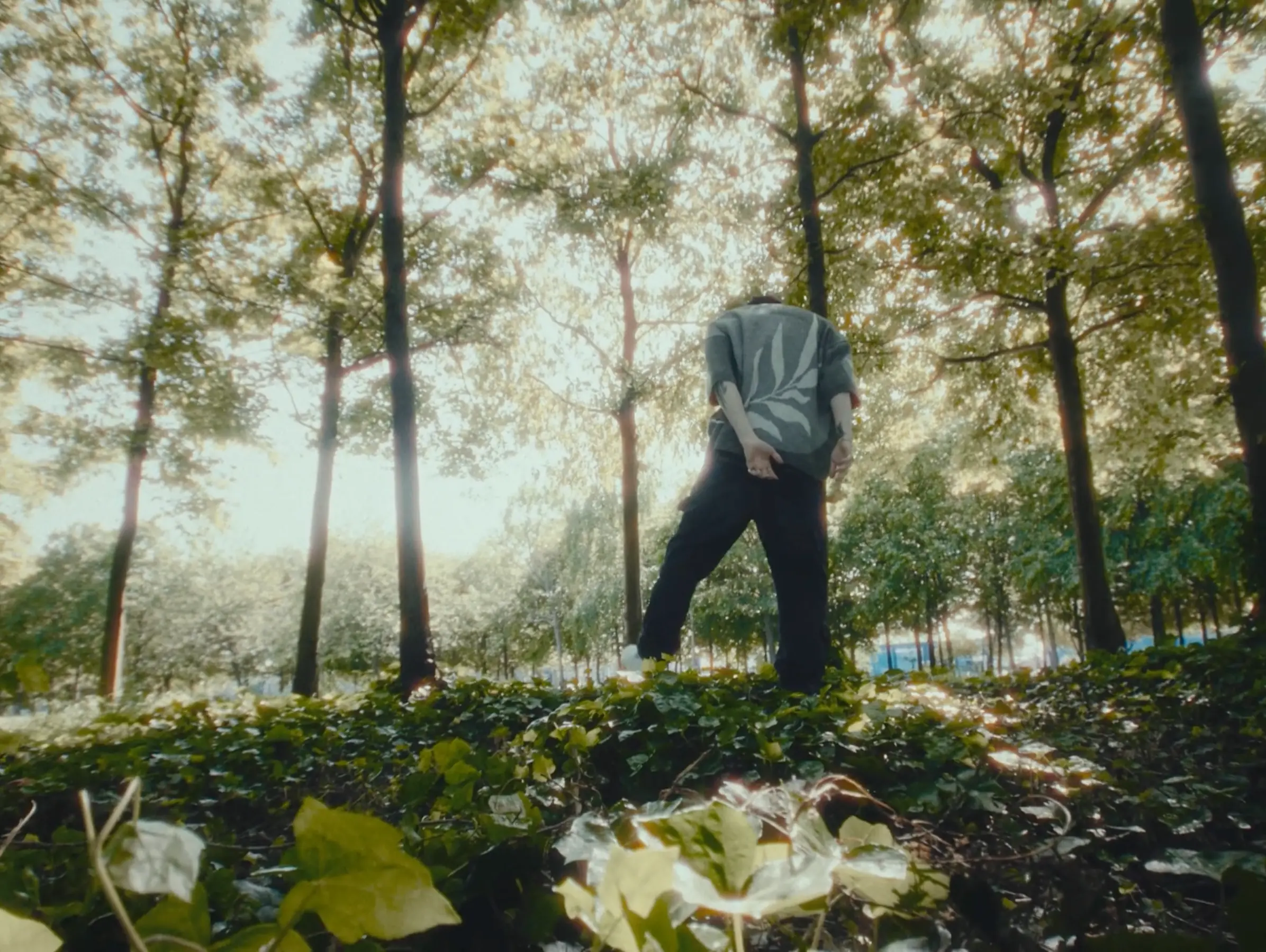 A man stood in a woodland area for "Inevitable" by BVDLVD.