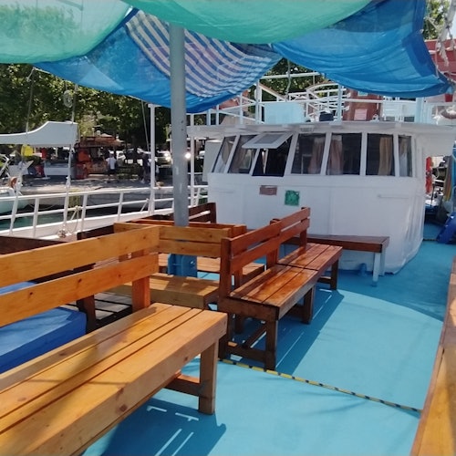 Cruises