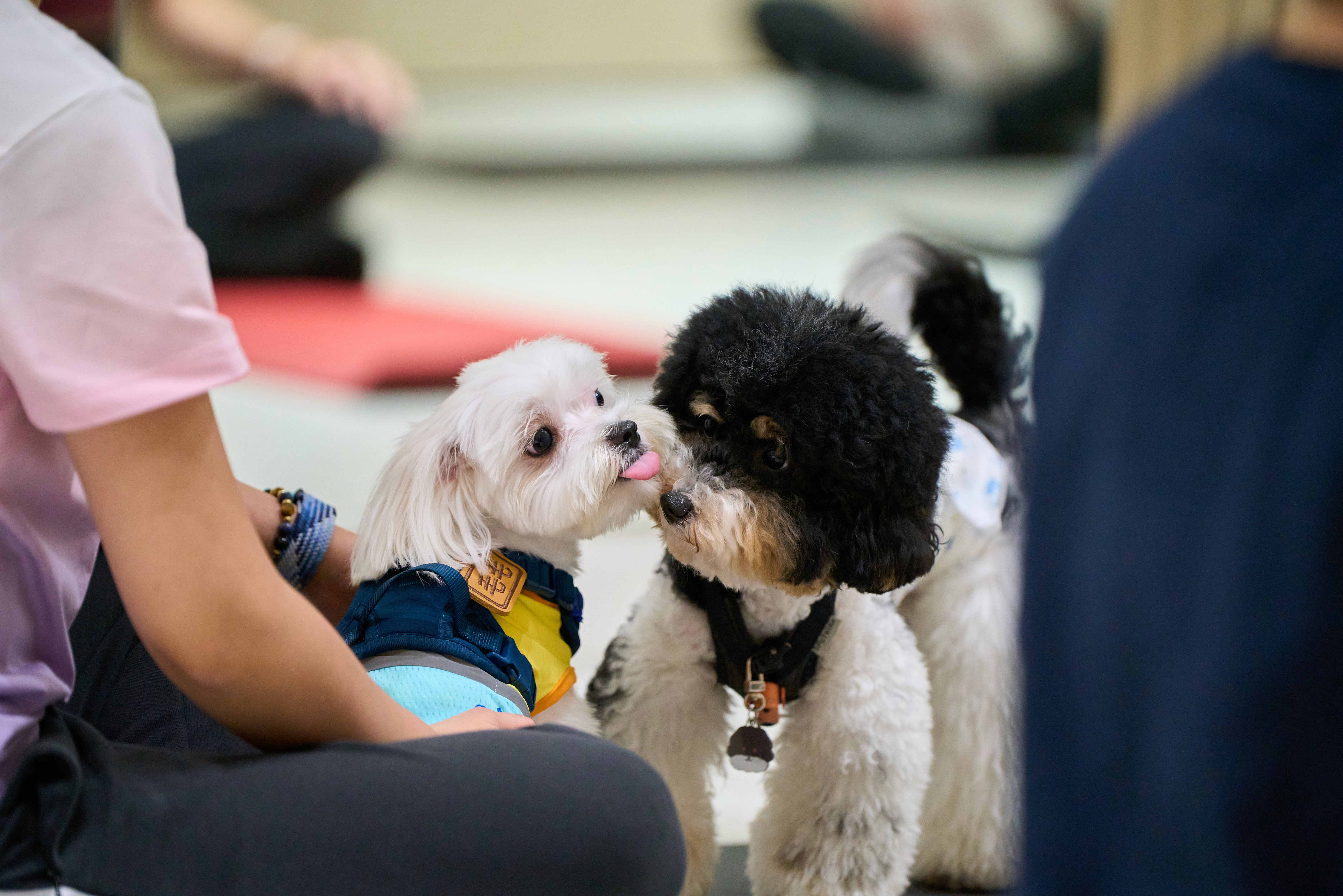 image of a sneaker in the dirt