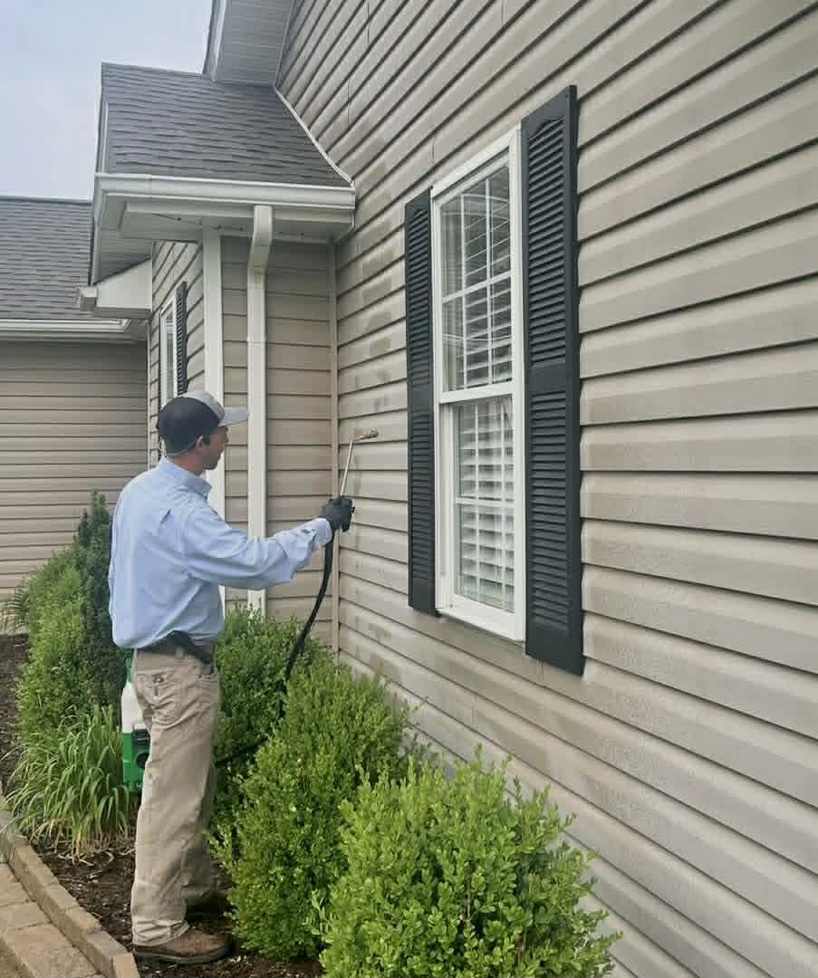 Pest Detectives Kingsport TN