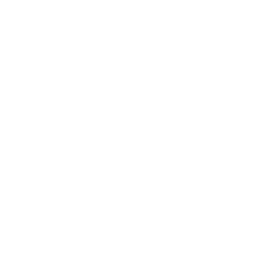 Network Solutions Icon