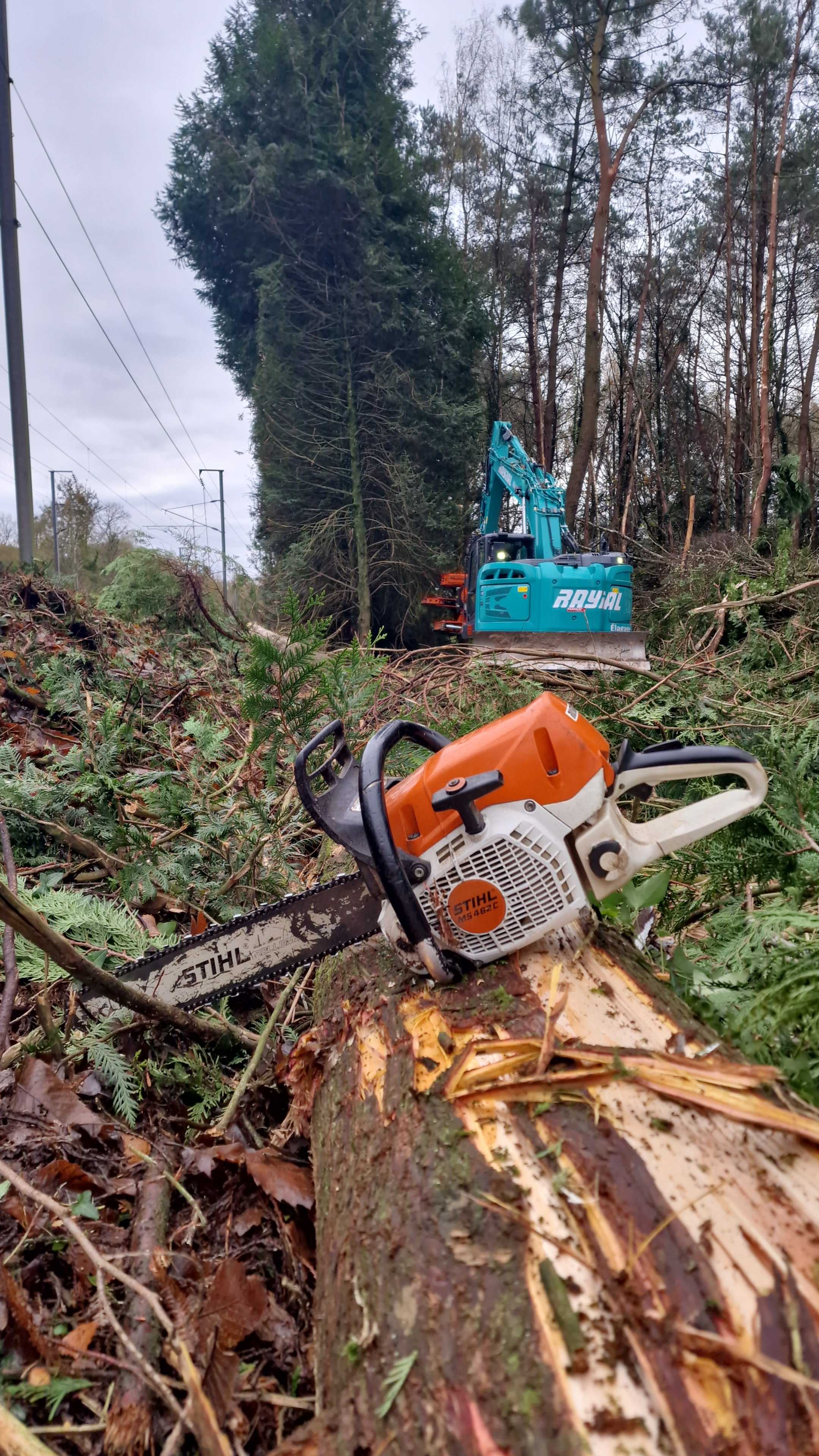tronconneuse elagage