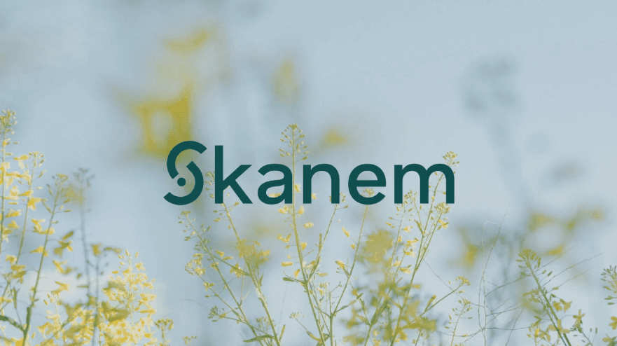 Skanem brand