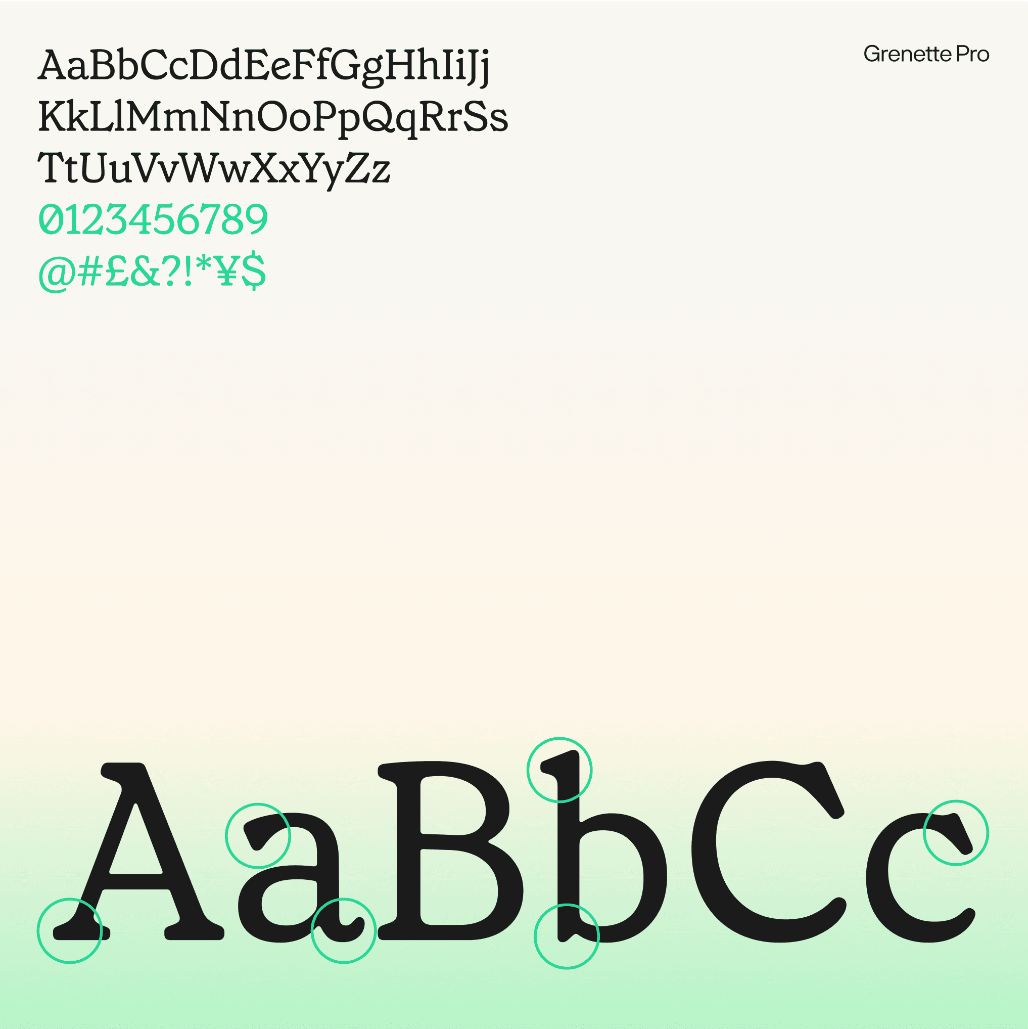 Nasstar design fonts