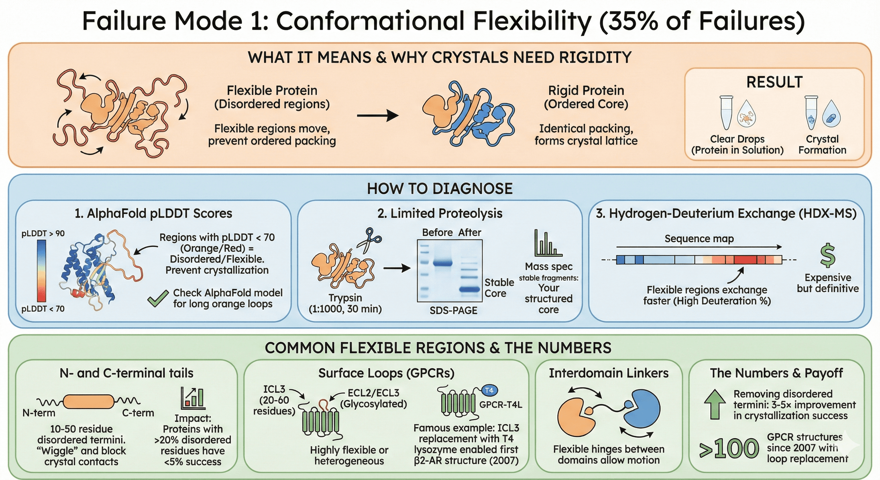 Diagram Showing the Impact of Conformational Flexibility on Crystallization