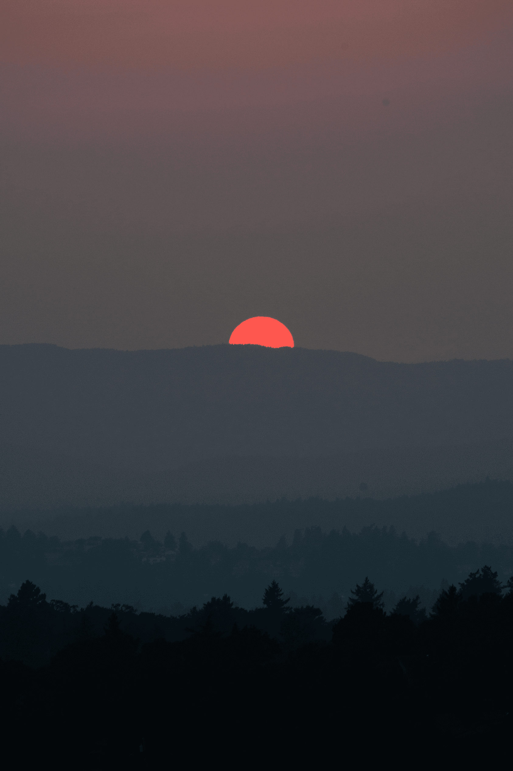 Deep red sun setting over a dark forested horizon at dusk