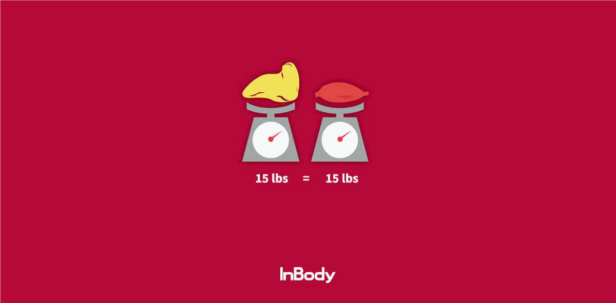 Body Composition 101 The Beginner’s Guide 15 pounds of muscle and 15 pounds of fat