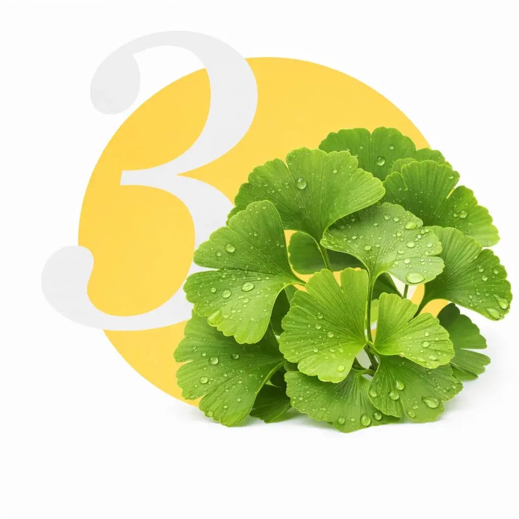 Turmeric roots on yellow circle background with number one.