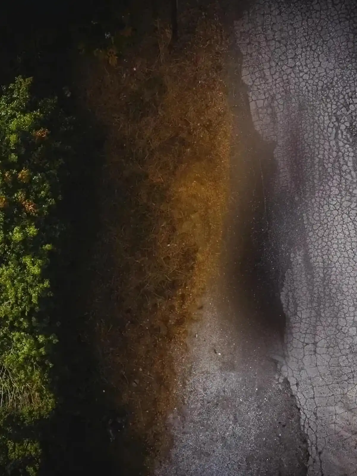 View from above: blue car parked at the edge of a forest road
