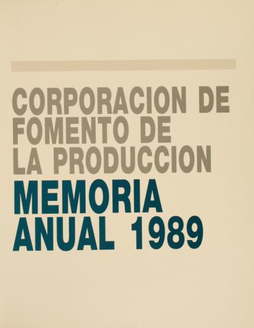 CORFO, Memoria anual 1989, 1990