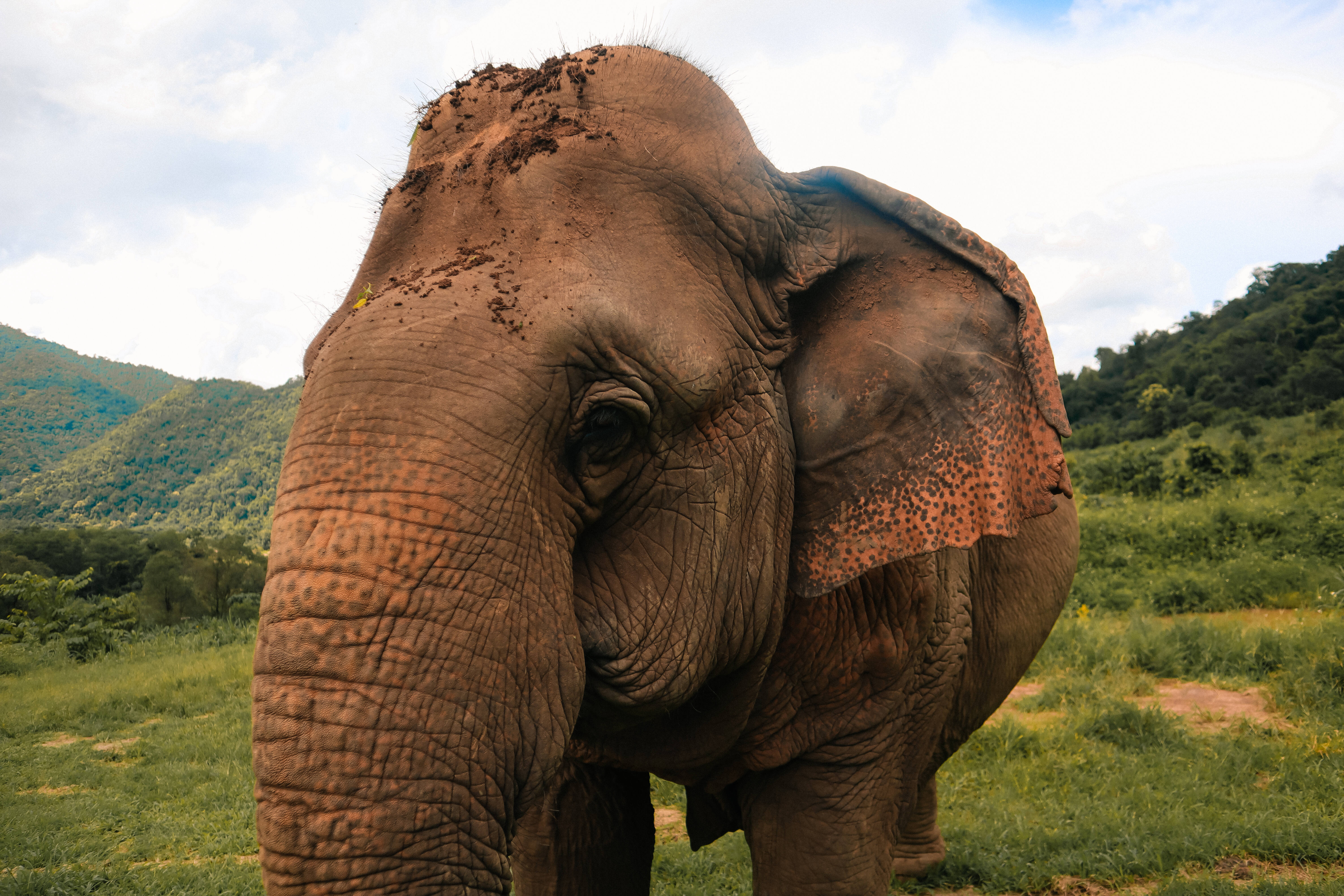 Girl walking in the big building