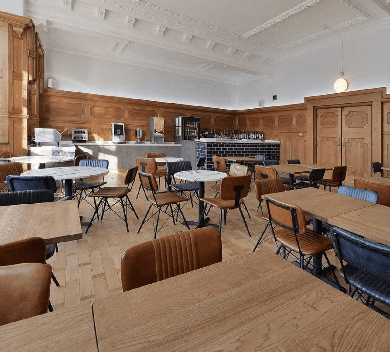 Close-up of a tree stump showing growth rings and a textured brown wood surface.