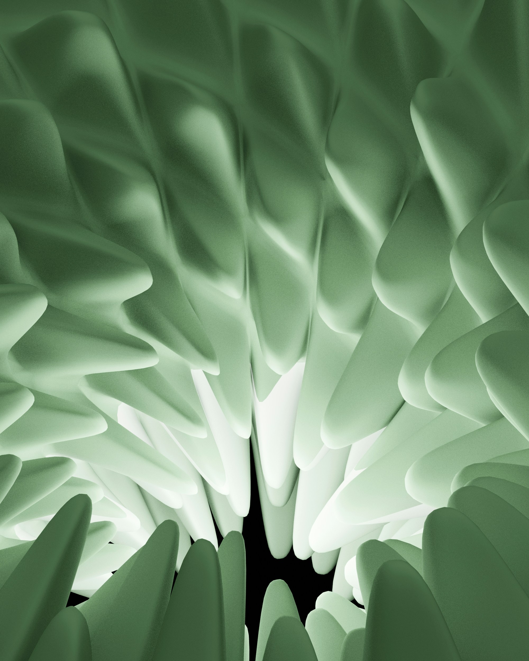 Close-up of a dark green leaf showing its textured surface and central vein against a muted background.