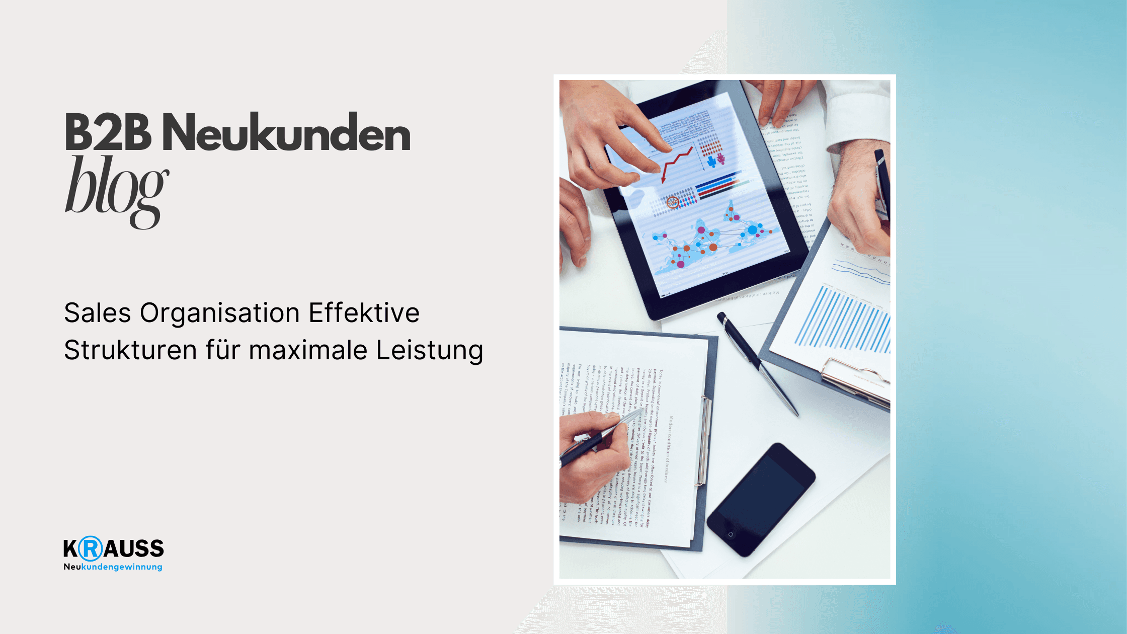 Sales Organisation Effektive Strukturen für maximale Leistung