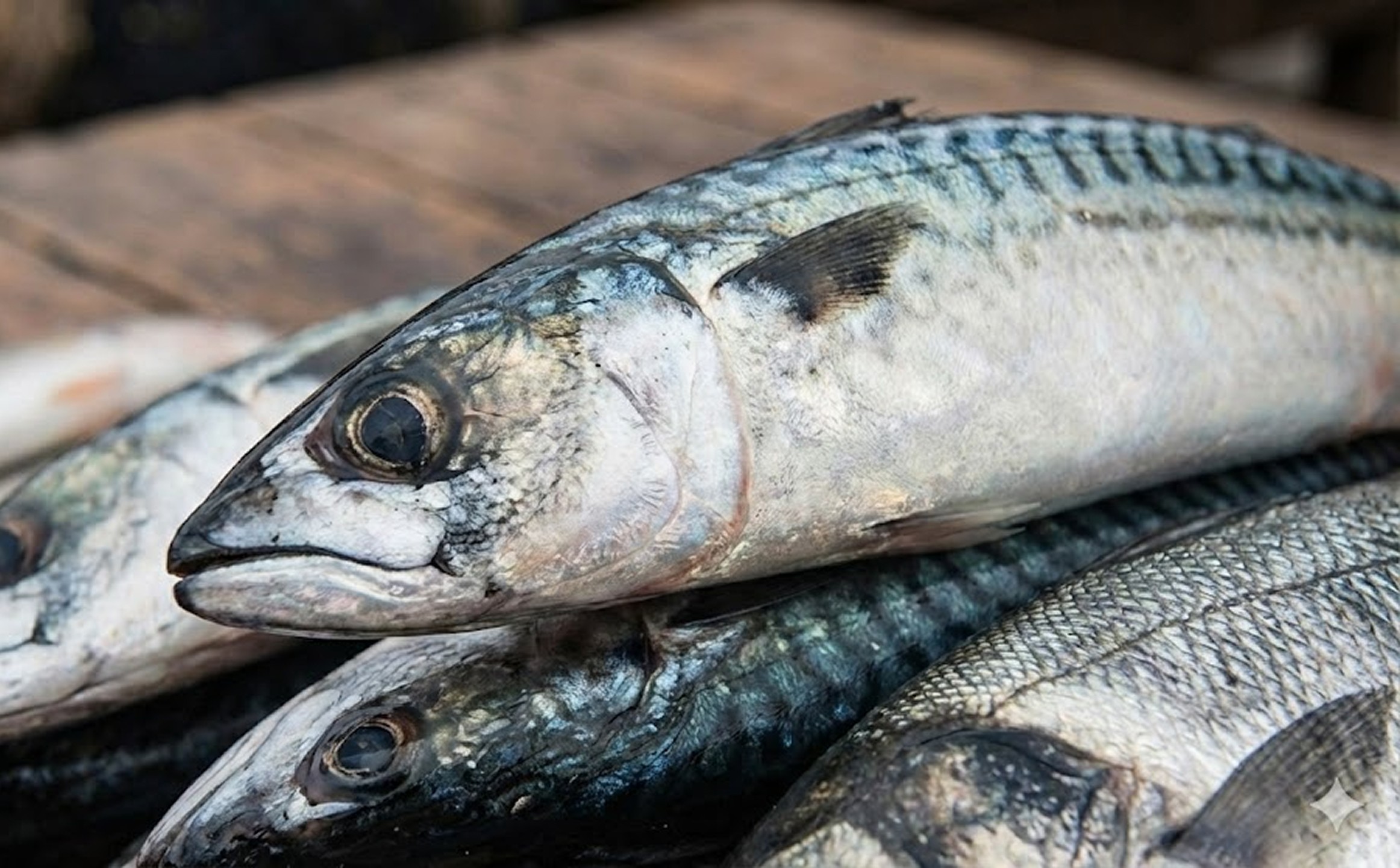 Fish Collagen Suppliers: Ensuring Quality and Sustainability