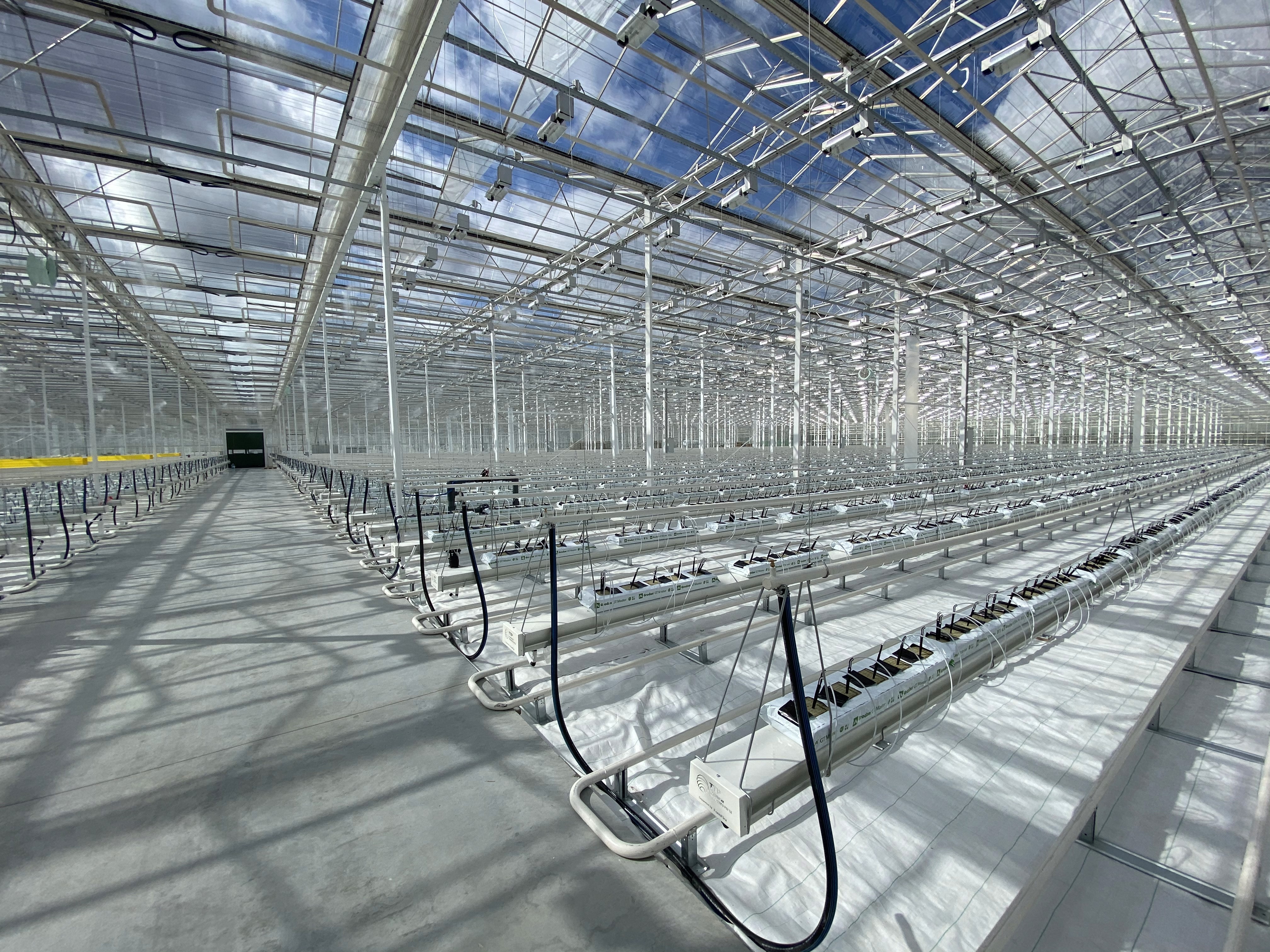 Horti XS Future-Proof Greenhouse Energy