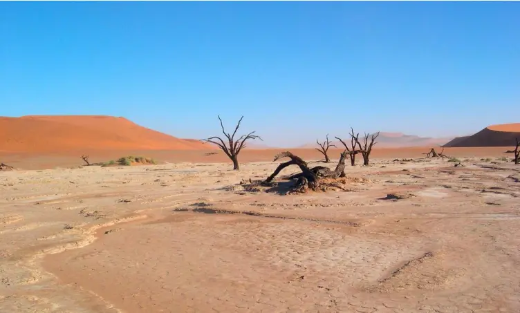 Desert Soil