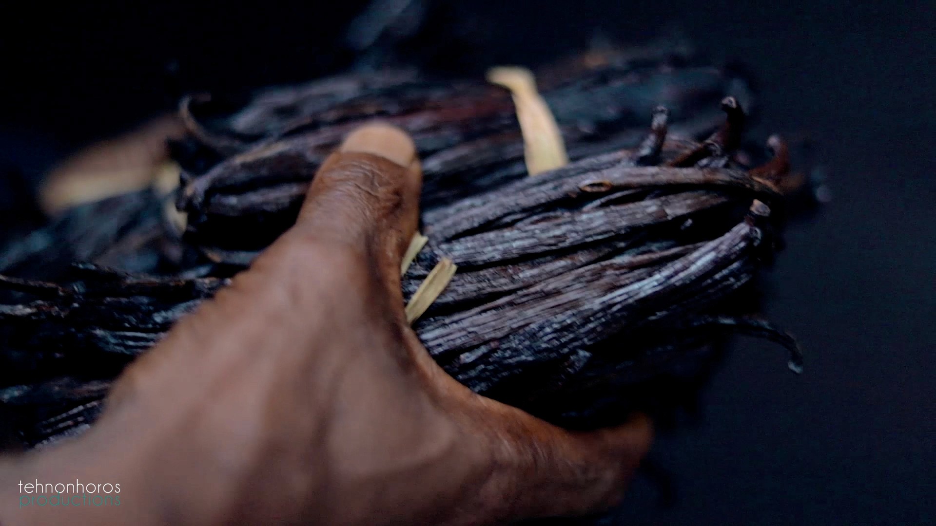 A vanilla during the filmming of a documentary about vanilla of Madagascar