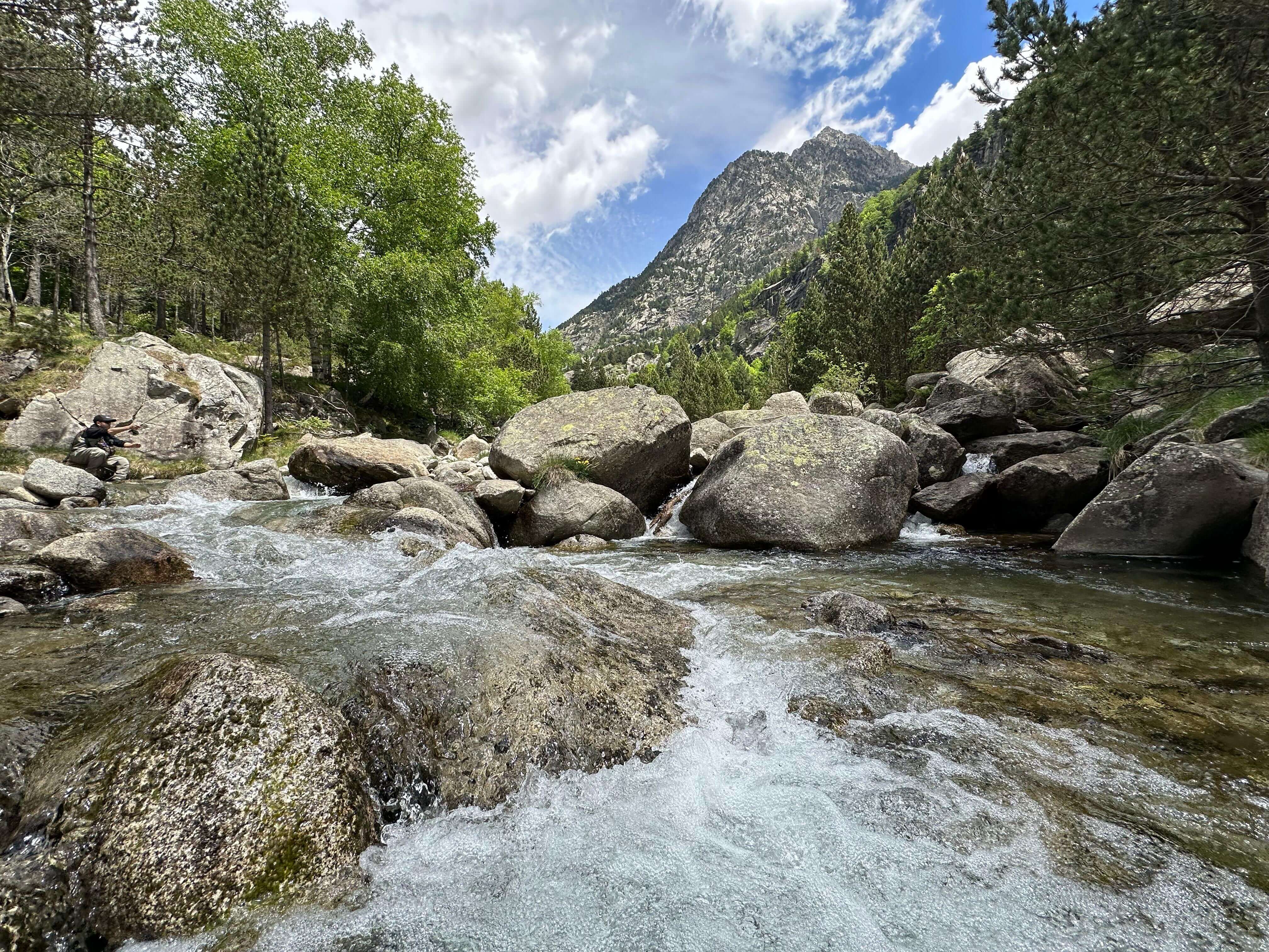 Fly fishing in the Spanish Pyrenees on a clear alpine stream near Barruera
