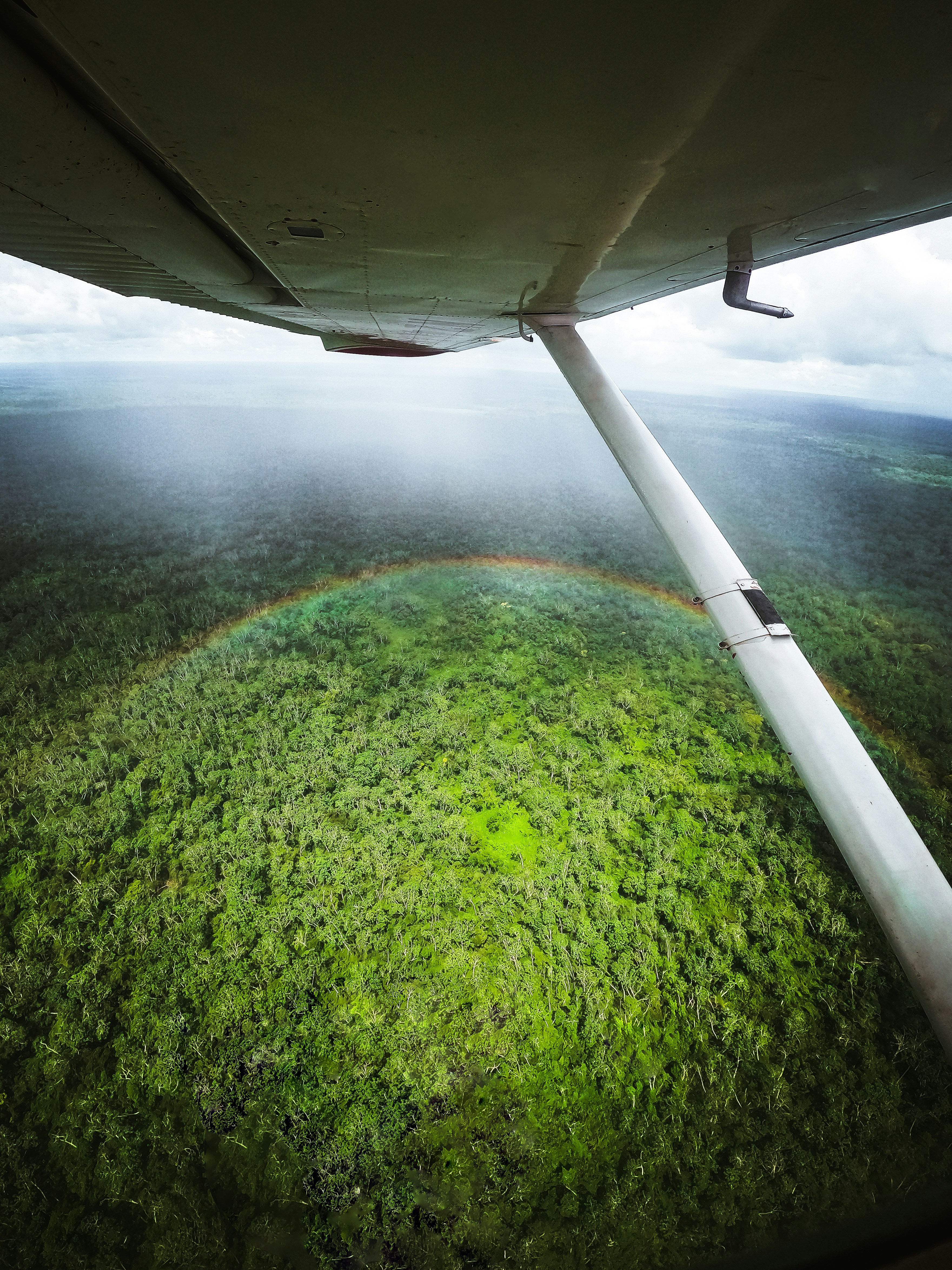 Plane view of forest with rainbow arc