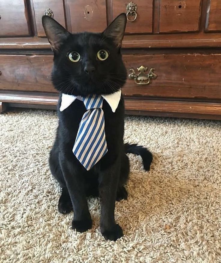 Woman with color palette