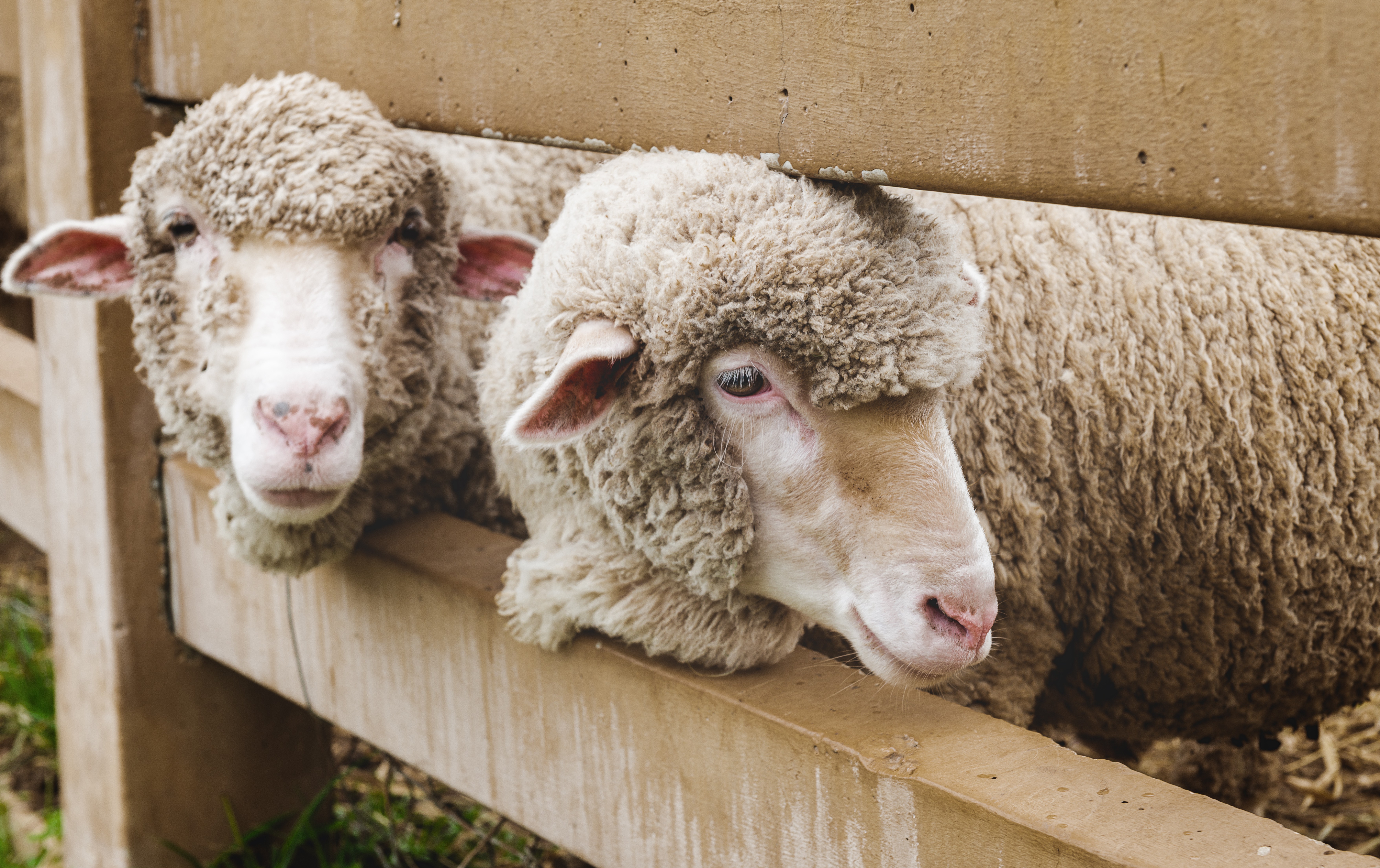 September Monthly Report